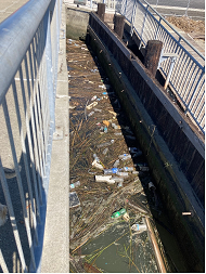 Vallejo Marina Cleanup Day